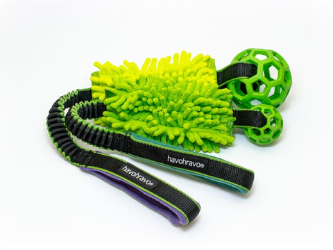 Tuggy standard Anemone & Hol-EE-Roller small