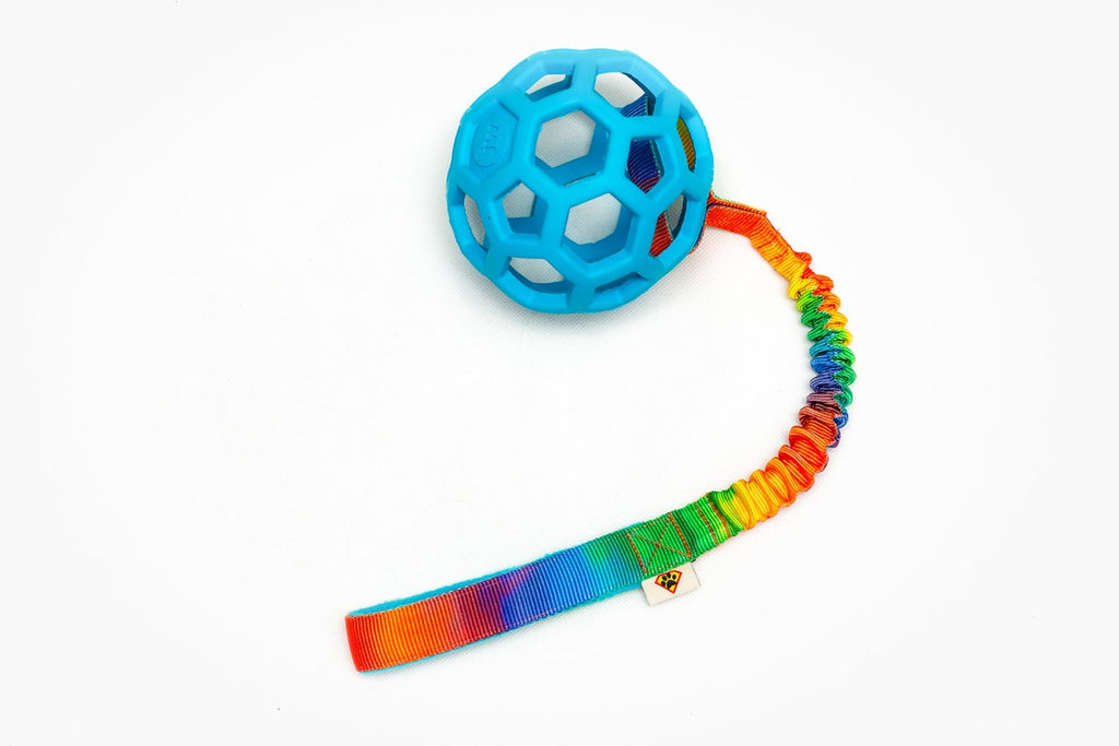 Hol-ee Rainbow medium