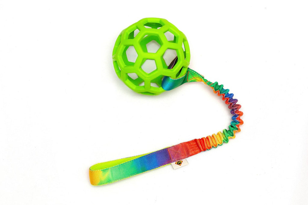 Hol-ee Rainbow medium