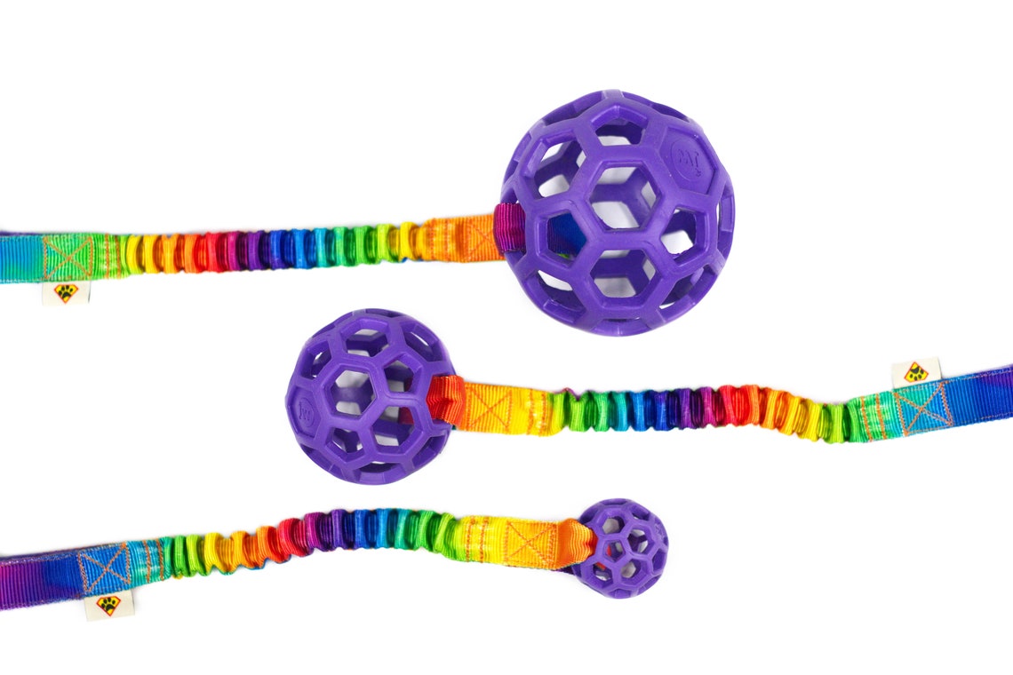 Hol-ee Rainbow medium