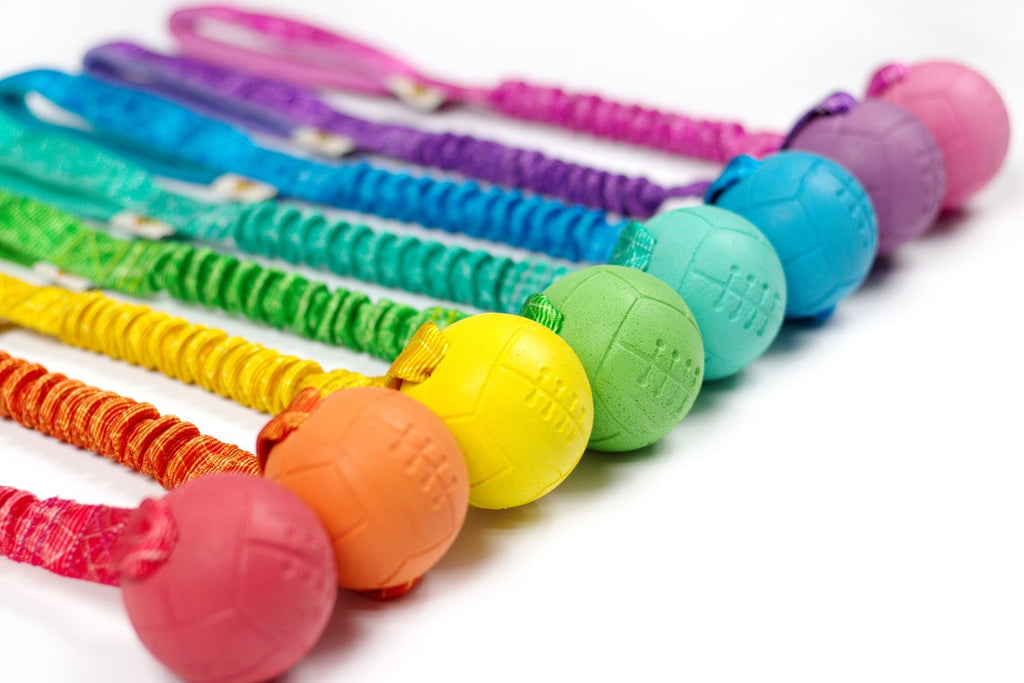 Hoko Basic "rainbow"