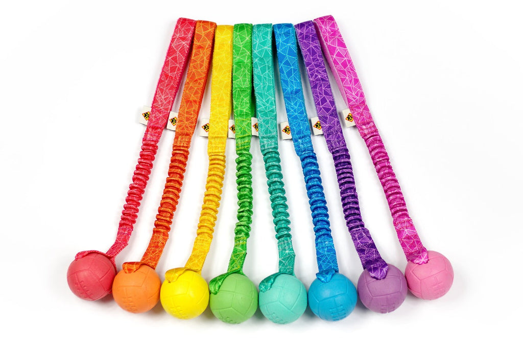 Hoko Basic "rainbow"