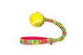 Tennis Basic