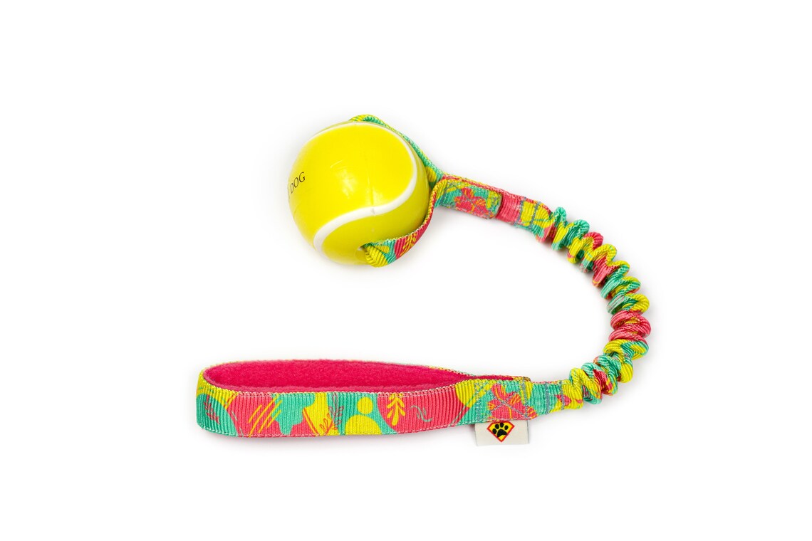 Tennis Basic