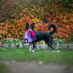 Microfiber fleece stribes long webbing