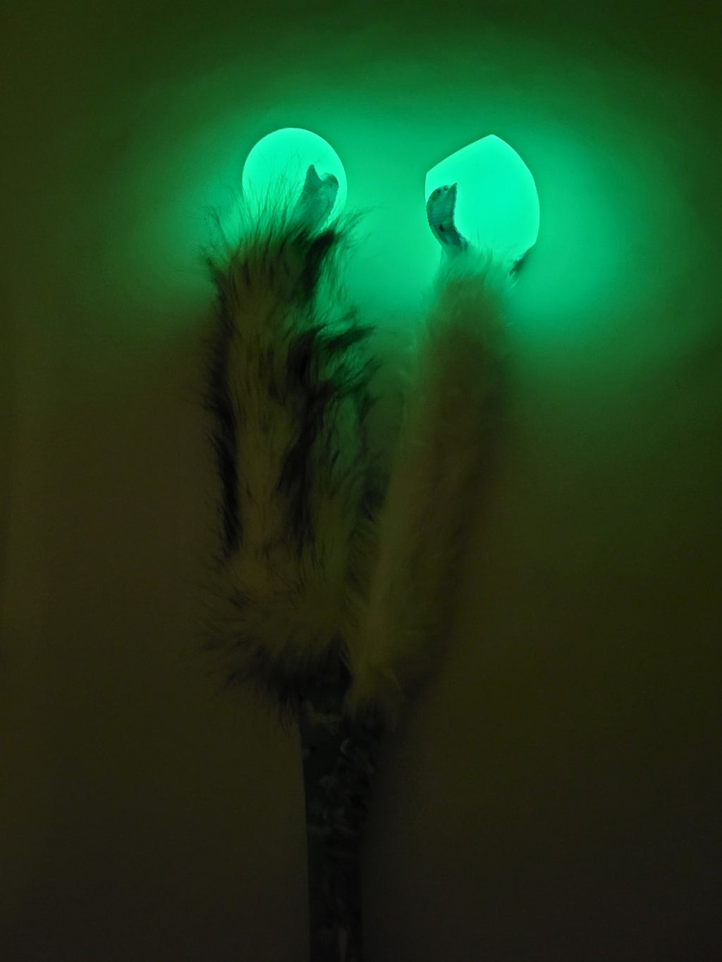 Erratic "winter fox"