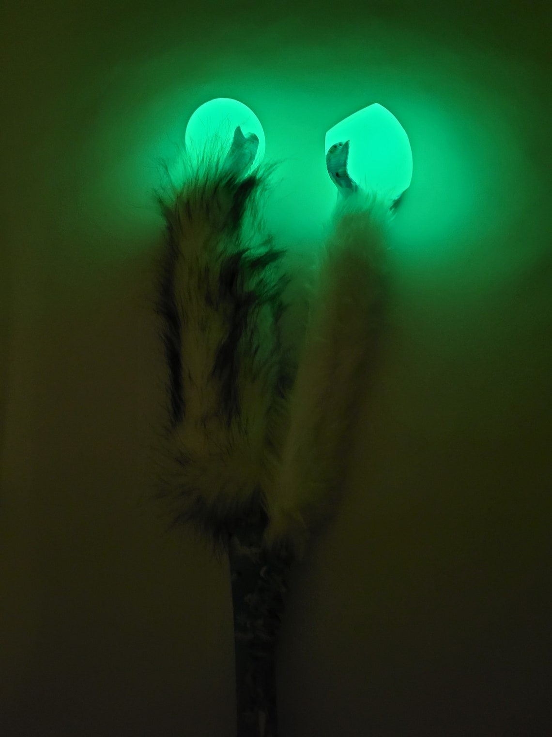 Erratic "winter fox"