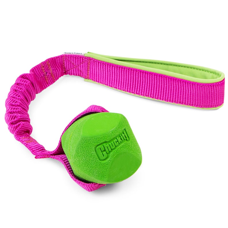 Chuckit! Erratic ball medium with bungee