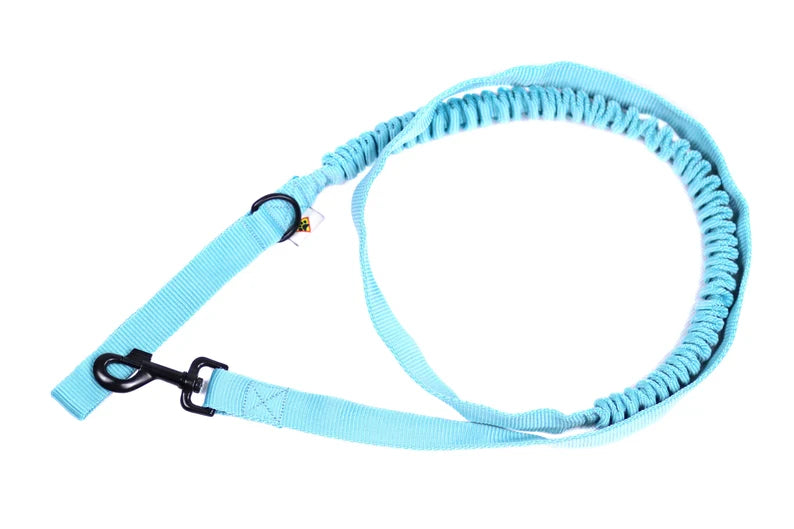 Mονόχρωμος οδηγός bungee