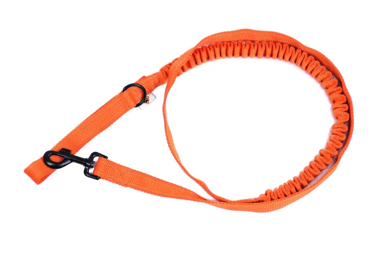 Mονόχρωμος οδηγός bungee