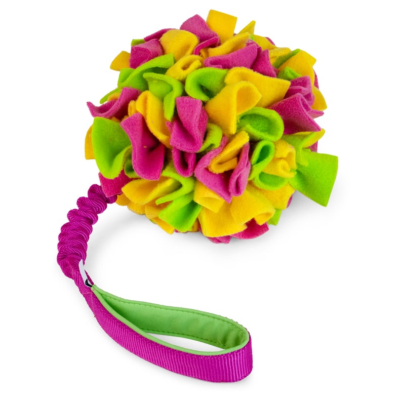 Pompon on JW Pet Hol-EE Roller bungee small
