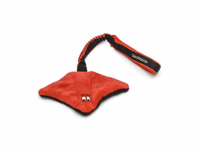 Tuggy Critters Stingray Medium